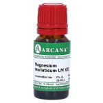 MAGNESIUM MURIATICUM LM 12 Dilution (PZN 7540952) из Германии
