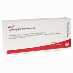 CARTILAGO/Echinacea comp.Ampullen (PZN 2085319) из Германии