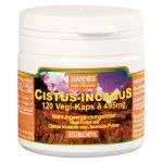 CISTUS INCANUS Vegi-Kaps 400 mg (PZN 4959828) из Германии