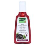 RAUSCH Aronia Anti-Grau Shampoo (PZN 16146208) из Германии