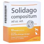 SOLIDAGO COMPOSITUM ad us.vet.Ampullen (PZN 1219864) из Германии