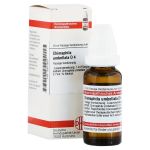 CHIMAPHILA UMBELLATA D 4 Dilution (PZN 2610659) из Германии