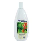 SPITZNER Saunaaufguss Ingwer Limette Wellness (PZN 1833529) из Германии