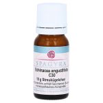 ECHINACEA ANGUSTIFOLIA C 30 Globuli (PZN 13361780) из Германии