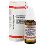 OLEUM TEREBINTHINAE D 6 Dilution (PZN 2622898) из Германии