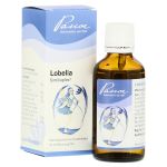 LOBELIA SIMILIAPLEX Tropfen (PZN 3833812) из Германии
