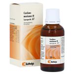 SYNERGON KOMPLEX 67 Carduus marianus N Tropfen (PZN 3574813) из Германии