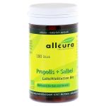 PROPOLIS SALBEI Lutschtabletten Bio (PZN 7333006) из Германии