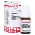 CRATAEGUS D 6 Globuli (PZN 4214086) из Германии