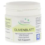 OLIVENBLATT-Extrakt Vegi Kapseln (PZN 4205265) из Германии