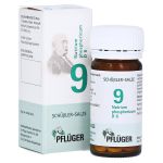 BIOCHEMIE Pflüger 9 Natrium phosphoricum D 6 Tabl. (PZN 6319636) из Германии