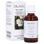 GEMMOEXTRAKT Heckenrose Tropfen (PZN 9762533) из Германии
