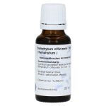 SYMPHYTUM D 6 Dilution (PZN 2402725) из Германии