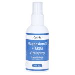 MAGNESIUMÖL+MSM Vitalspray Zechstein (PZN 14364349) из Германии