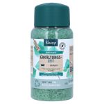KNEIPP Badekristalle Erkältungszeit Eukalyptus (PZN 16503944) из Германии