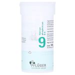 BIOCHEMIE Pflüger 9 Natrium phosphoricum D 6 Pulv. (PZN 6323431) из Германии