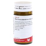 RHUS TOXICODENDRON E foliis D 6 Globuli (PZN 8787376) из Германии