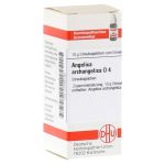 ANGELICA ARCHANGELICA D 4 Globuli (PZN 7246106) из Германии