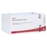 RHUS TOXICODENDRON COMP Ampullen (PZN 2086709) из Германии
