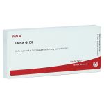 UTERUS GL D 6 Ampullen (PZN 3789324) из Германии