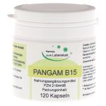 PANGAM Vitamin B15 Kapseln (PZN 2164496) из Германии