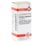 SOLIDAGO VIRGAUREA D 8 Globuli (PZN 546153) из Германии
