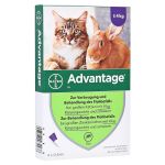 ADVANTAGE 80 mg Lösung große Katzen/Zierkaninchen (PZN 9670104) из Германии