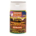 CISTUS INCANUS Vegi-Kaps 400 mg (PZN 4959780) из Германии