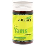 YAMS Kapseln 250 mg Yamspulver (PZN 4020637) из Германии