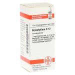 BRYOPHYLLUM D 12 Globuli (PZN 11362835) из Германии