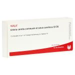 ARTERIA CAROTIS COMMUNIS et sin.carot.GL D 6 Amp. (PZN 2903255) из Германии
