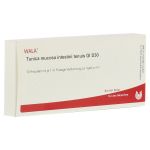 TUNICA mucosa intestini tenuis GL D 30 Ampullen (PZN 3787667) из Германии