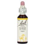 BACHBLÜTEN Gorse Tropfen (PZN 59884) из Германии