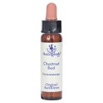 BACHBLÜTEN Chestnut Bud Healing Herbs Tropfen (PZN 10175108) из Германии