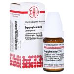 BRYOPHYLLUM C 30 Globuli (PZN 16689529) из Германии
