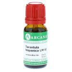 TARANTULA HISPANICA LM 6 Dilution (PZN 10407903) из Германии