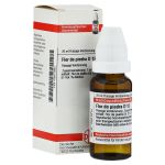 FLOR DE PIEDRA D 12 Dilution (PZN 2613853) из Германии