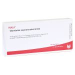 GLANDULAE SUPRARENALES GL D 4 Ampullen (PZN 2829406) из Германии