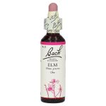 Bachblüten Elm Tropfen (PZN 53261) из Германии