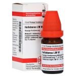 LM HELLEBORUS VI Dilution (PZN 2668400) из Германии