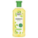 BIRKEN HAARWASSER Original Hagners (PZN 12579548) из Германии