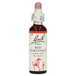 BACHBLÜTEN Red Chestnut Tropfen (PZN 146778) из Германии