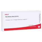 MANDIBULA feti GL D 12 Ampullen (PZN 2934267) из Германии