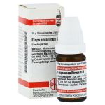 ELAPS corallinus D 8 Globuli (PZN 6585496) из Германии