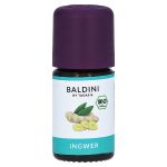 Taoasis Ingwer Bioaroma Baldini ätherisches Öl (PZN 9538913) из Германии