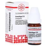 CIMICIFUGA D 6 Globuli (PZN 1766112) из Германии