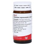 GLANDULAE SUPRARENALES comp.Globuli (PZN 8786046) из Германии