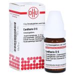 CANTHARIS D 6 Globuli (PZN 1763533) из Германии