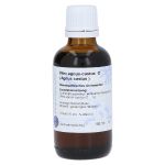 AGNUS CASTUS Urtinktur D 1 Hanosan (PZN 7431068) из Германии