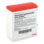 GLANDULA SUPRARENALIS suis Injeel Ampullen (PZN 420937) из Германии
